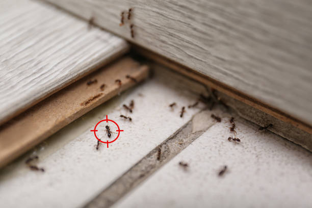  Canal Winchester, OH Pest Control Pros