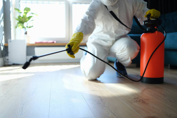Reliable Canal Winchester, OH Pest Control Solutions