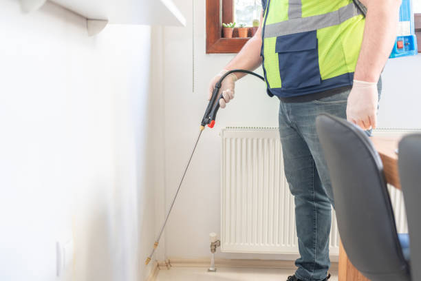 Wasp Removal Services in Canal Winchester, OH