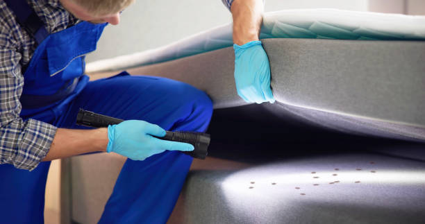 Best Bed Bug Extermination  in Canal Winchester, OH