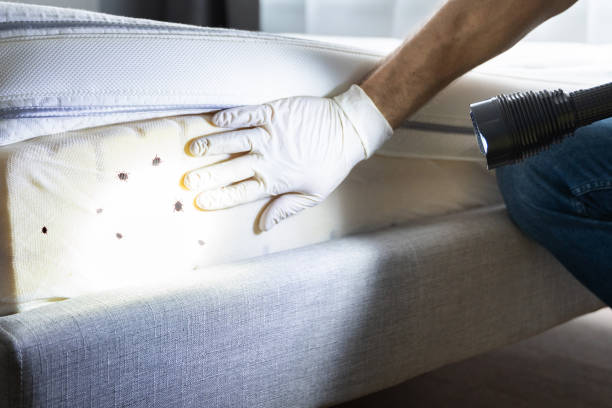 Best Pest Inspection Near Me  in Canal Winchester, OH