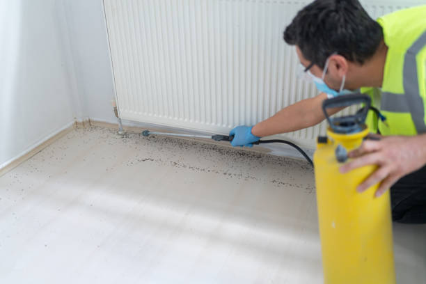 Best Emergency Pest Control  in Canal Winchester, OH