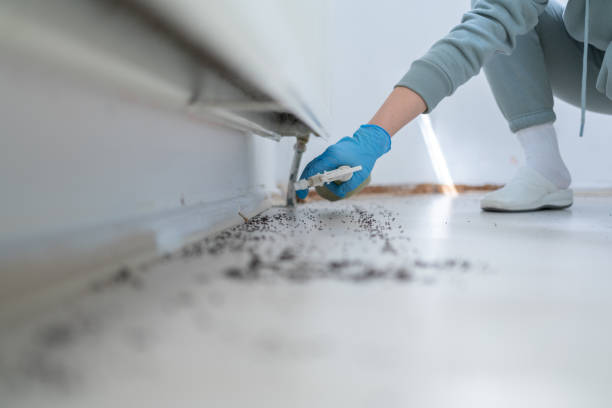 Best Residential Pest Control  in Canal Winchester, OH