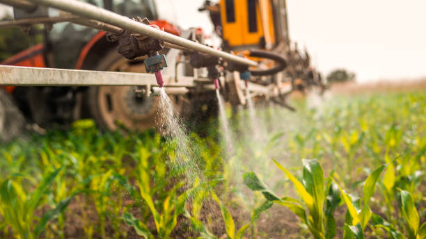 Best Pest Prevention Services  in Canal Winchester, OH
