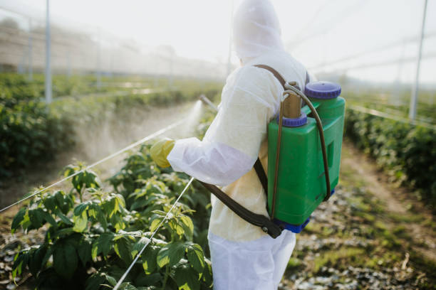 Wildlife Control Services in Canal Winchester, OH